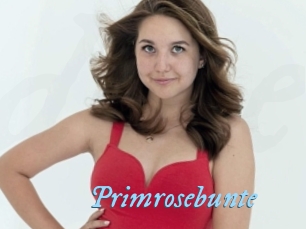 Primrosebunte