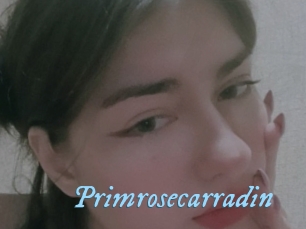 Primrosecarradin