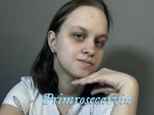 Primrosecarvin