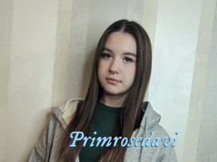 Primrosedavi