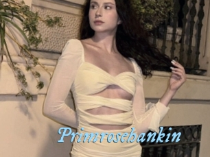 Primrosehankin