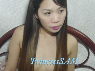 PrincessSAM