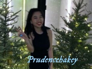 Prudencehakey