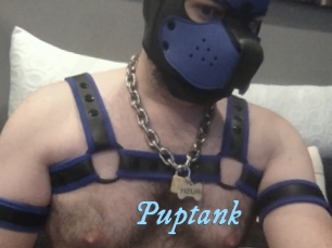 puptank DeriheruI