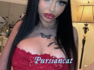 Pursiancat