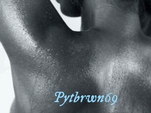 Pytbrwn69