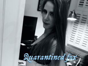 Quarantined_fox