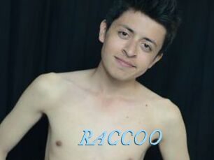 RACCOO