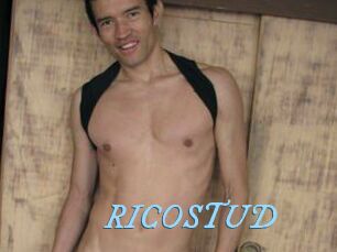 RICOSTUD DeriheruI