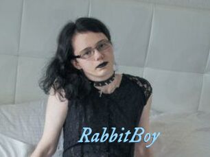 RabbitBoy