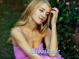 Rabbithole