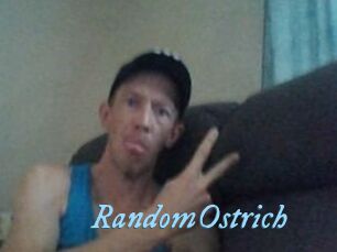RandomOstrich DeriheruI