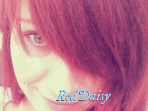 RedDaisy