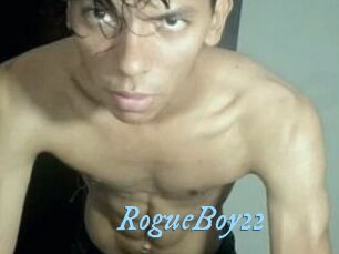 RogueBoy22
