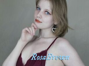 RosaBrown