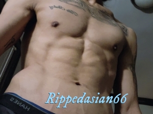 Rippedasian66