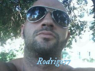 Rodrigo77