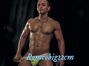 Romeobig22cm