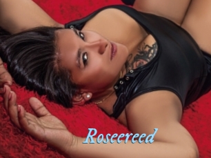 Roseereed