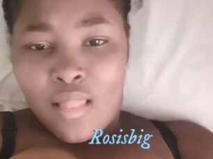 Rosisbig