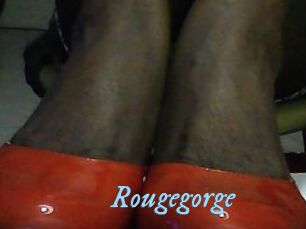 Rougegorge