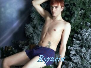 Royzein