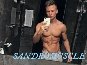 SANDRO_MUSCLE