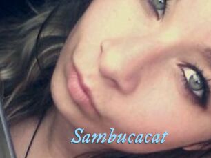Sambucacat