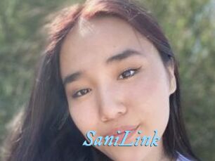 SaniLink
