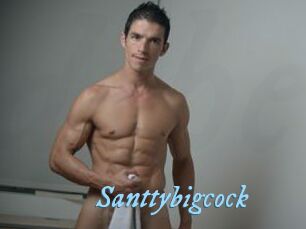 Santtybigcock