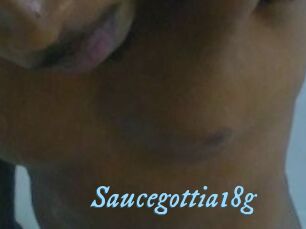 Saucegottia18g