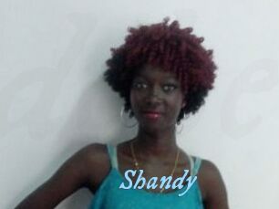 Shandy