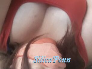 SilicaPonn