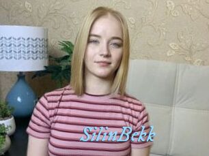 SilinBekk