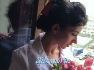 Silkworm