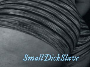 SmallDickSlave