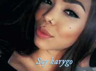 Soy_karygo