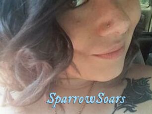 SparrowSoars
