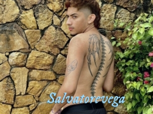 Salvatorevega