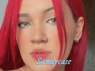 Sandycase