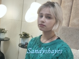 Sandyshayes