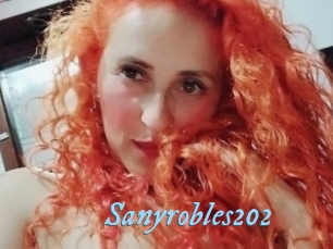 Sanyrobles202