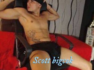 Scott_bigcok