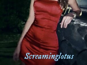 Screaminglotus