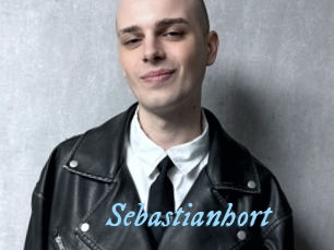 sebastianhort DeriheruI