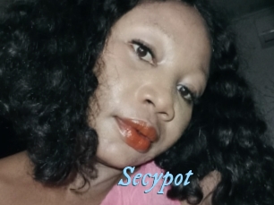 Secypot