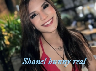 Shanel_bunny_real