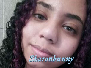 Sharonbunny