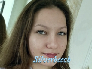 Silverbeech