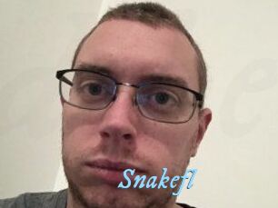Snakefl